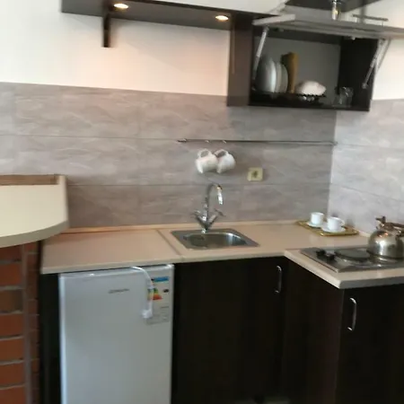 On Panteleimonovskaya Apartment