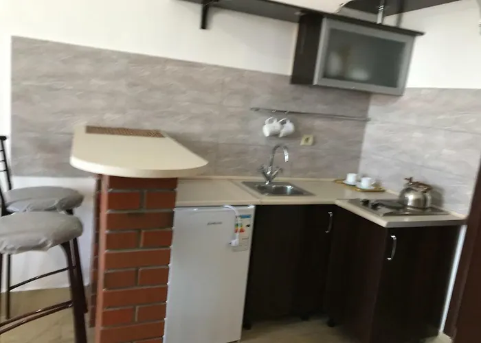 On Panteleimonovskaya 公寓 *