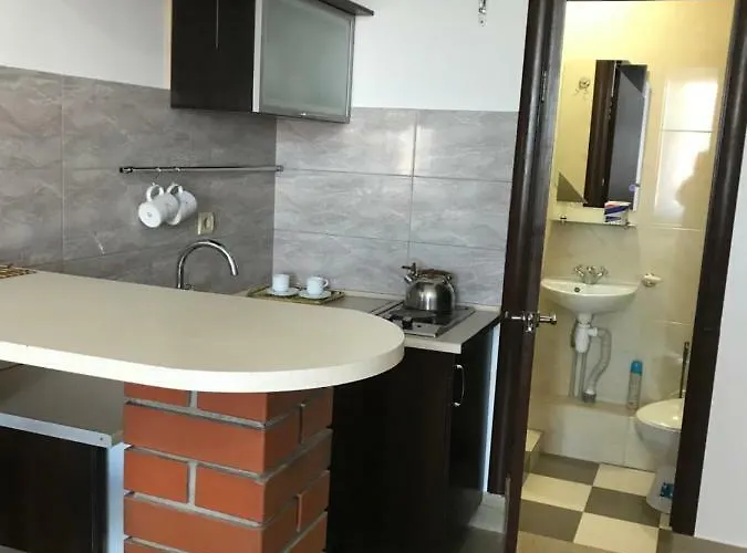 On Panteleimonovskaya Apartman