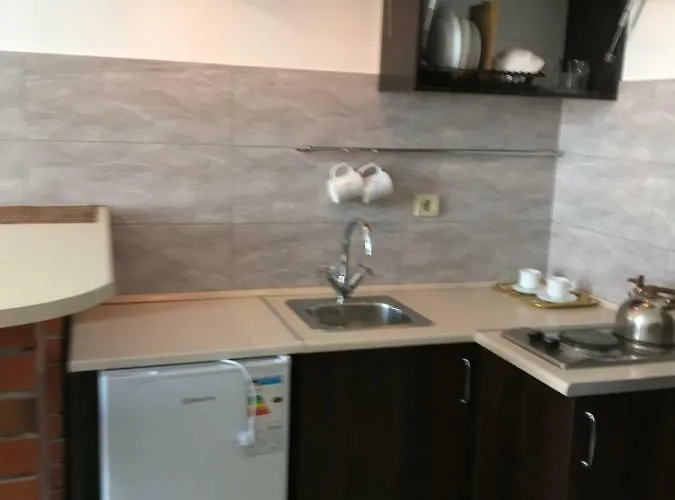 On Panteleimonovskaya Apartman