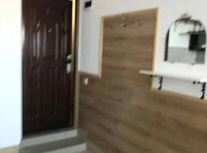 On Panteleimonovskaya Apartman